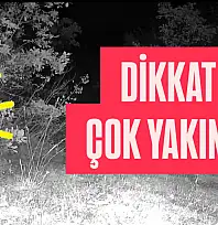 Bu kez çok yakında