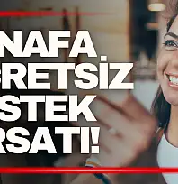 Esnafa Ücretsiz Hibe ve Teşvik Analizi