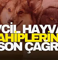 Evcil Hayvan Sahiplerine Son Çağrı