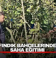 Fındık Üreticilerine Budama ve Kahverengi Kokarca Eğitimi