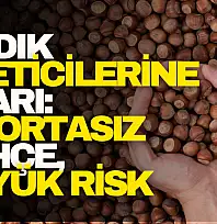 Fındık Üreticilerine Uyarı