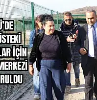 Güvenli ortamlarına kavuştular