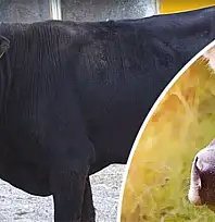 Halk Elinde Islah Projeleri'ne 2,7 milyar lira destek