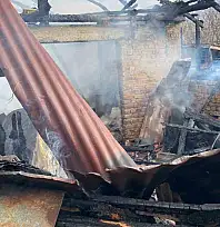 Karabük'te müştemilat yangını: 2 köpek yavrusu telef oldu