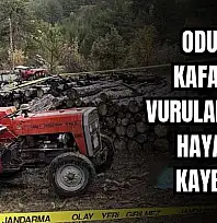 Kastamonu'da cinayet