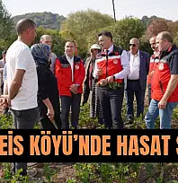 Kerevizde hedef 5 ton