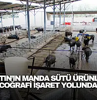 Manda Sütü Ürünleri Coğrafi İşaret Yolunda