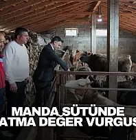 Manda Sütünde Katma Değer Vurgusu