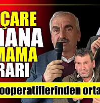 Orman Kooperatiflerinden açık ve net çağrı