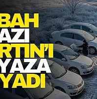 Sabah Ayazı Bartın'ı Beyaza Boyadı