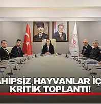 Sahipsiz Hayvanlar İçin Kritik Toplantı!