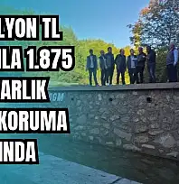 'Sel sularına verecek bir avuç bile toprağımız yok'