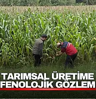 Tarımsal Üretim Fenolojik Gözlemlerle Takip Ediliyor