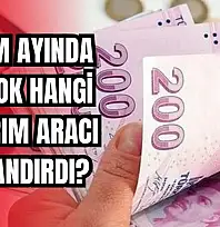 Veriler açıklandı