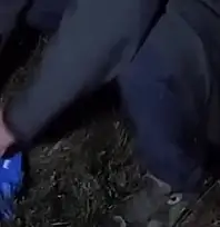 Yasa dışı avcılıkta kullanılan 7 cihaza el konuldu