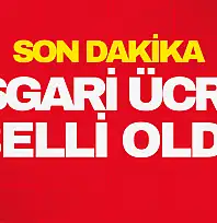 Yeni Asgari Ücret Belli Oldu!