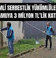 Yükümlüler boyadı, kamu kazandı