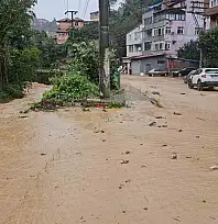 Zonguldak'ta şiddetli yağış etkili oldu