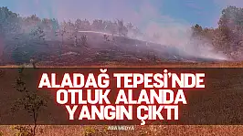 Bartın'da Aladağ Tepesi'nde Otluk Alanda Yangın Çıktı