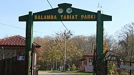 BARTIN DOĞA KORUMA VE MİLLİ PARKLAR MÜDÜRLÜĞÜ BALAMBA TABİAT PARKI GÜNÜBİRLİK KULLANIM ALANI VE KAPI GİRİŞİ İŞLETMECİLİĞİ İŞİ İHALE İLANI