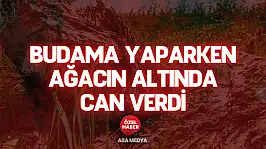Budama Yaparken Ağacın Altında Can Verdi