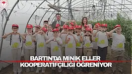 Minik Eller Kooperatifçiliği Öğreniyor