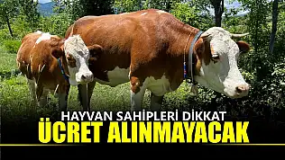 Artık o ücret alınmayacak