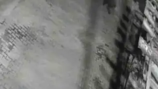 Yerleşim alanına inen ayılar köy sakininden korkup kaçtı