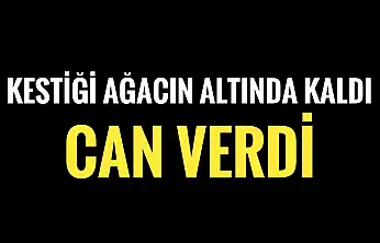 Ağacın altında kaldı