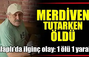 Ağaçtan düştü, merdiveni tutan kişi hayatını kaybetti