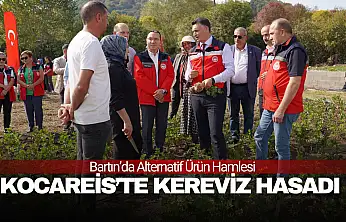 Alternatif Ürün Hamlesi: Kereviz Hasadı Yapıldı
