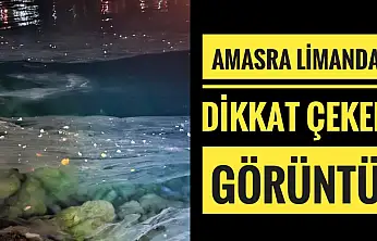 Amasra limanda dikkat çeken görüntü