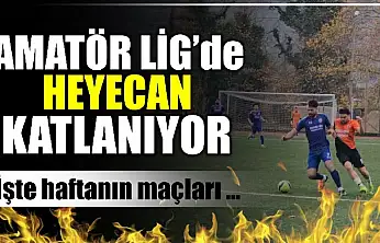 Amatör Lig'de haftanın maçları