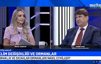 Avcı'dan ormanlar, yangınlar ve ekonomi üzerine önemli açıklamalar