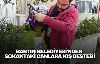 Bartın Belediyesi'nden Sokaktaki Canlara Kış Desteği