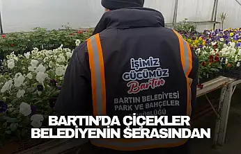 Bartın'da Çiçekler Belediyenin Serasından
