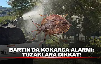Kokarca Alarmı: Tuzaklara Dikkat!