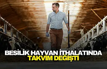 Başvurular Şubat'a Sarktı  Alt Başlık