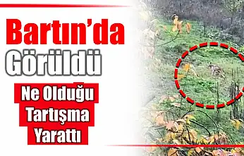 Bu görüntülere yorum yağdı