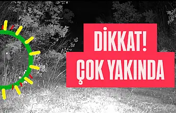 Bu kez çok yakında