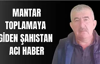 Cansız bedenine ulaşıldı