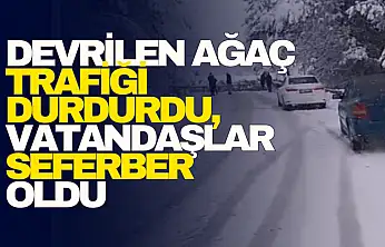 Devrilen Ağaç Trafiği Durdurdu