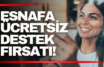 Esnafa Ücretsiz Hibe ve Teşvik Analizi