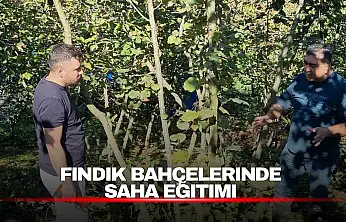 Fındık Üreticilerine Budama ve Kahverengi Kokarca Eğitimi