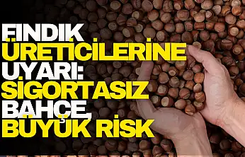 Fındık Üreticilerine Uyarı