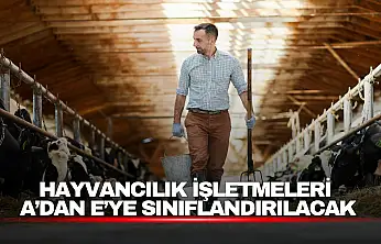 Hayvancılık İşletmelerinde Yeni Dönem