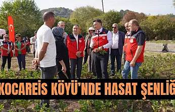 Kerevizde hedef 5 ton
