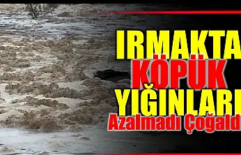 Kimyasal şüphesi korkutuyor