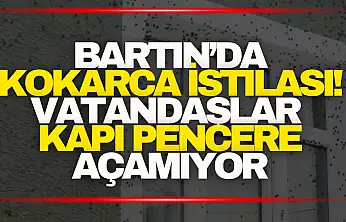 Kokarca İstilası! Vatandaşlar Kapı Pencere Açamıyor