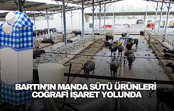 Manda Sütü Ürünleri Coğrafi İşaret Yolunda